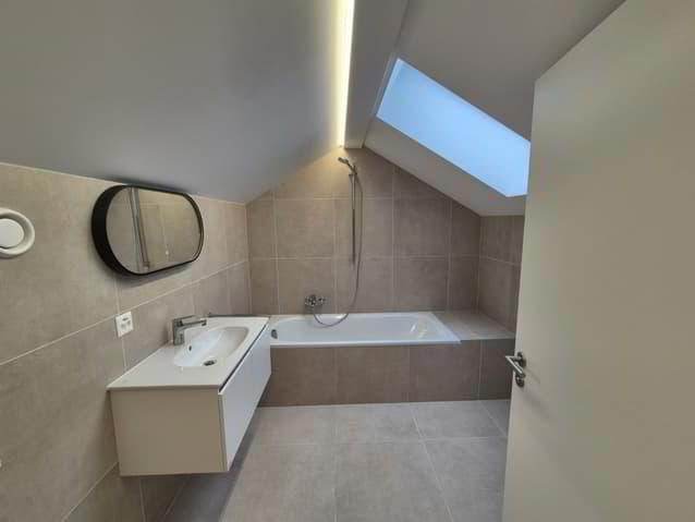 Belle maison de village entièrement rénovée et lumineuse de 4,5...