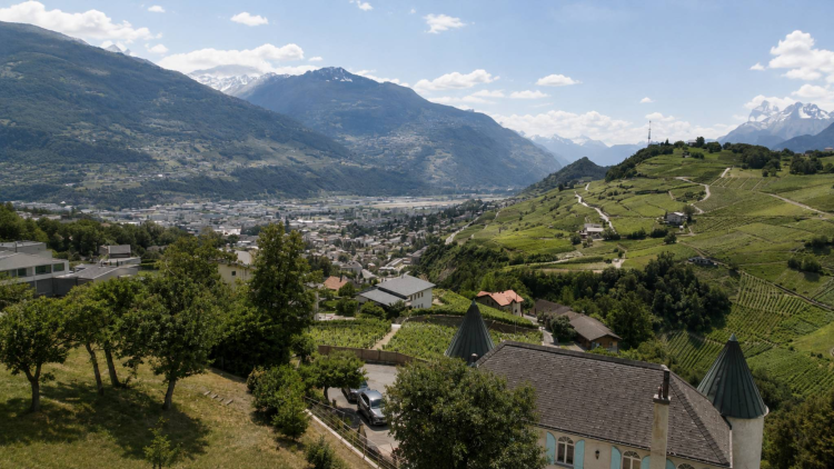 Bien rare à la vente au cœur des vignes - Hauts de Sion 