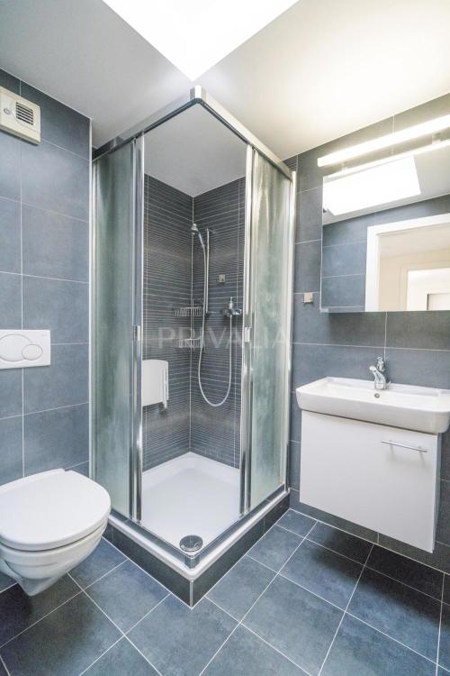 House for rent in Geneva, Switzerland