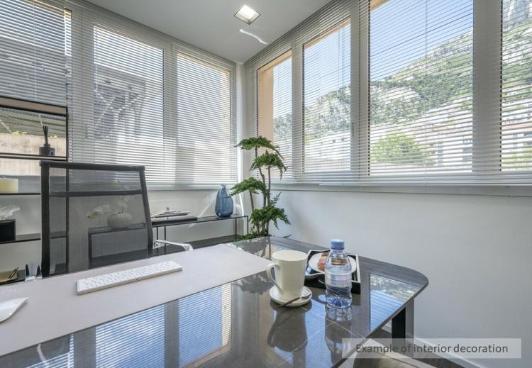 Confortable bureau indépendant dans un espace de coworking à Fontvieille