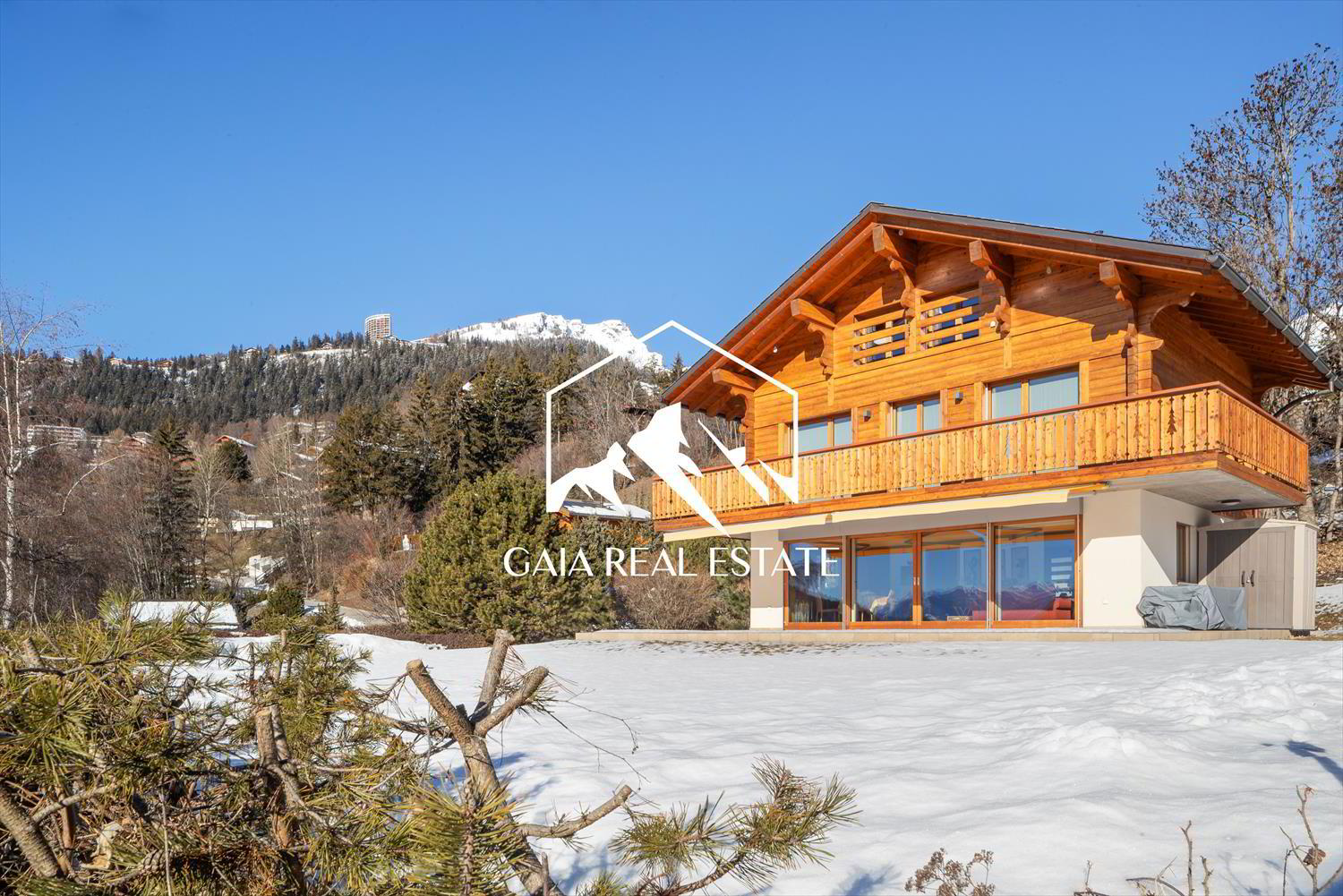 Chalet 4.5 pièces