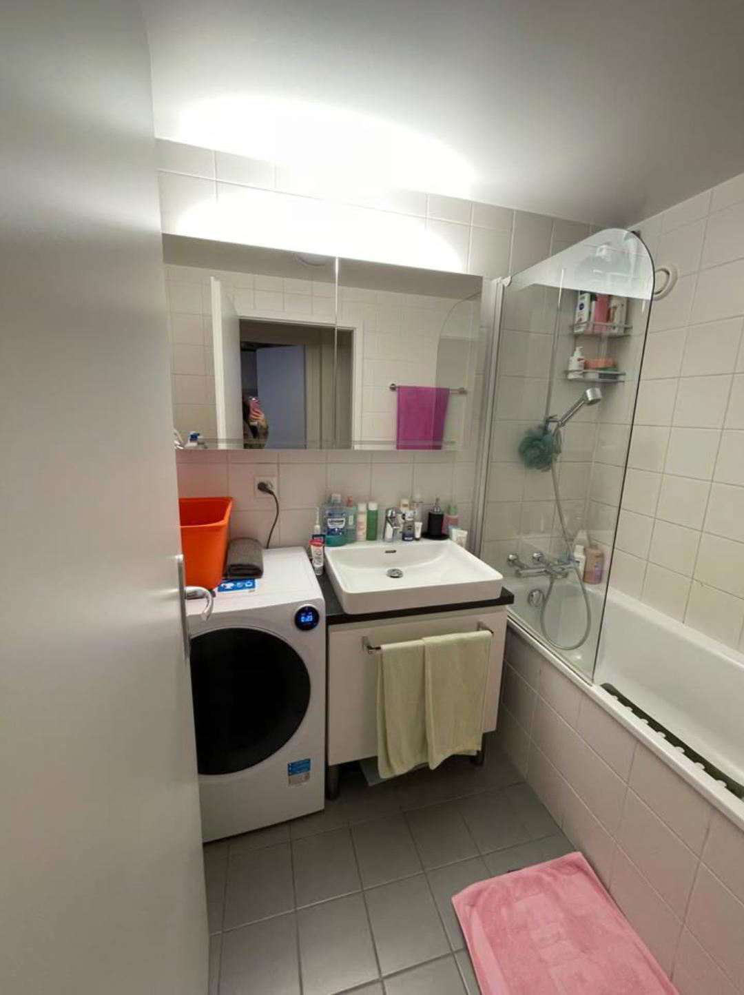 Apartment for rent in Meyrin, Switzerland
