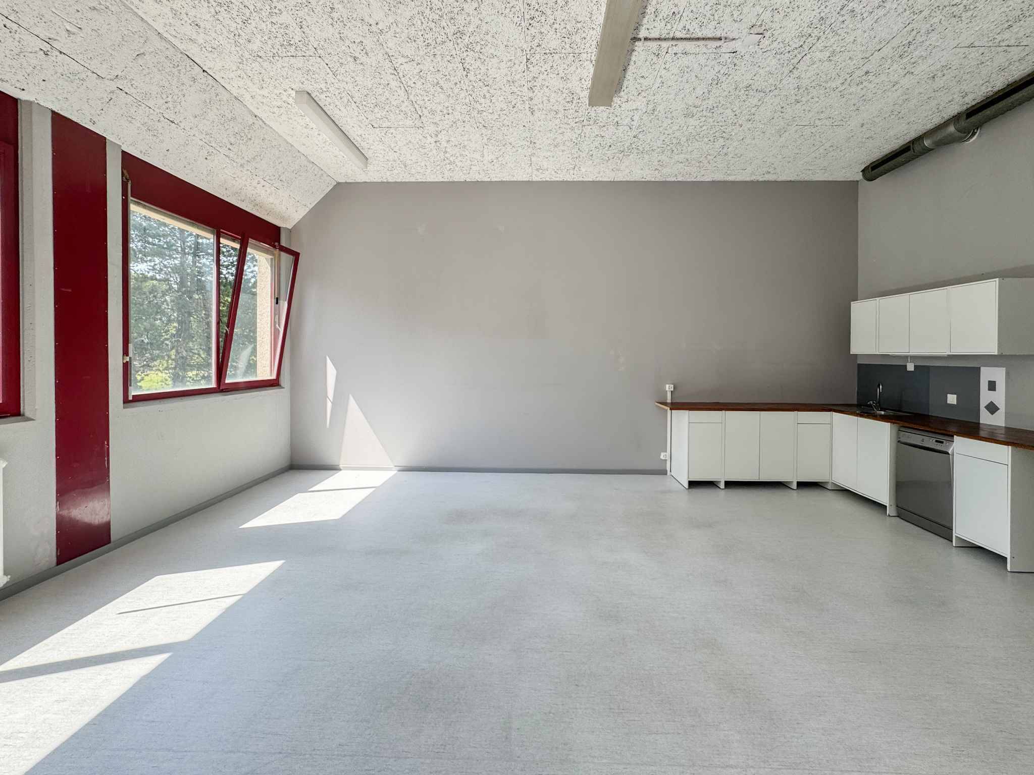 Atelier lumineux de 365 m² à Meyrin