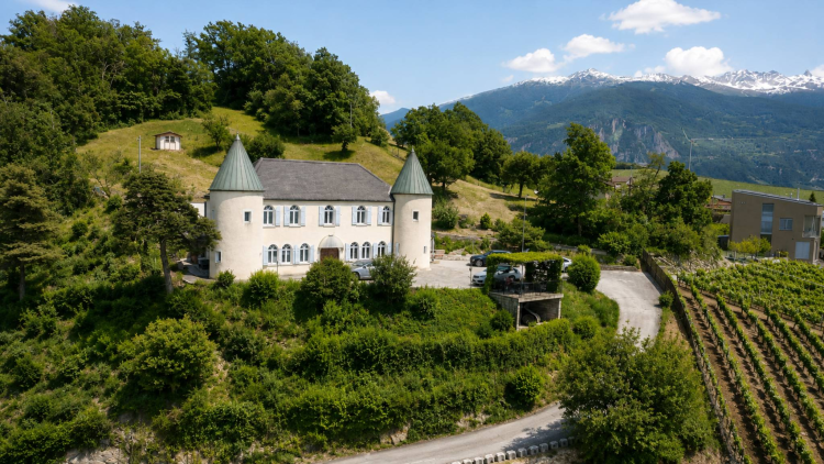 Bien rare à la vente au cœur des vignes - Hauts de Sion 