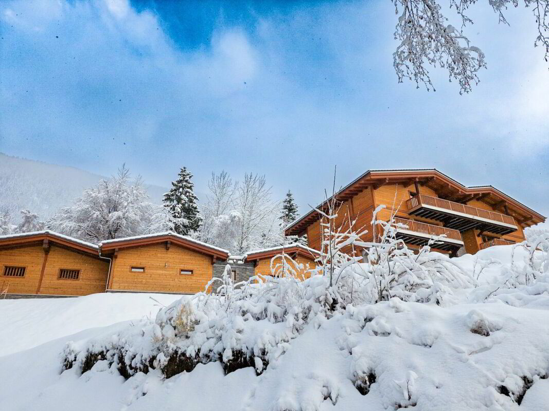 House for sale in Saxon, Switzerland