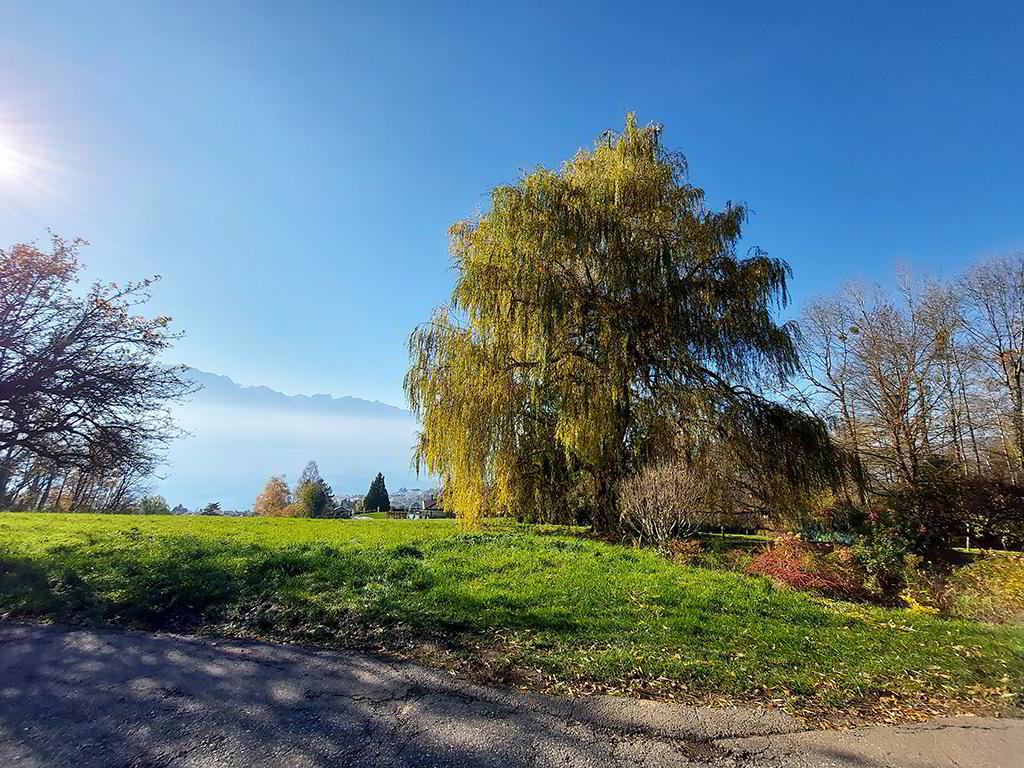 House for sale, 1807 (Blonay - Saint-Légier, Switzerland)