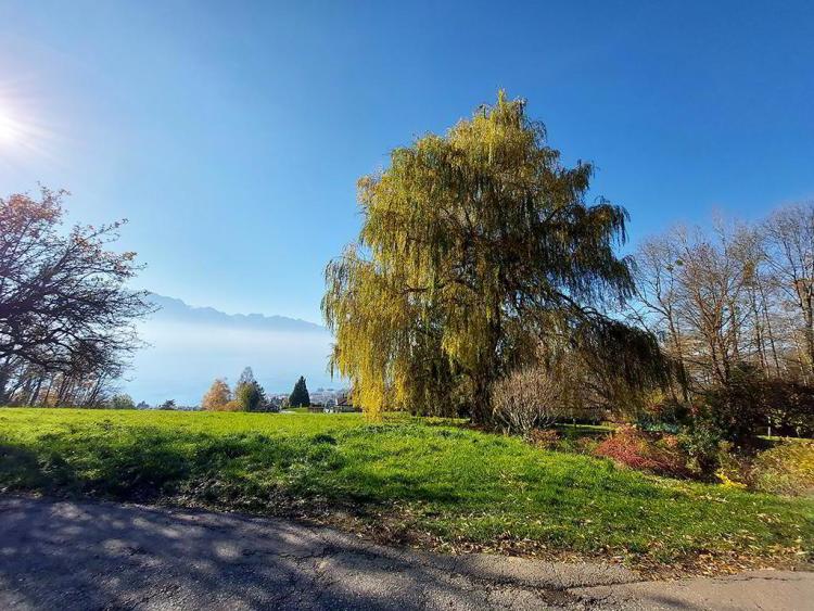 House for sale, 1807 (Blonay - Saint-Légier, Switzerland)
