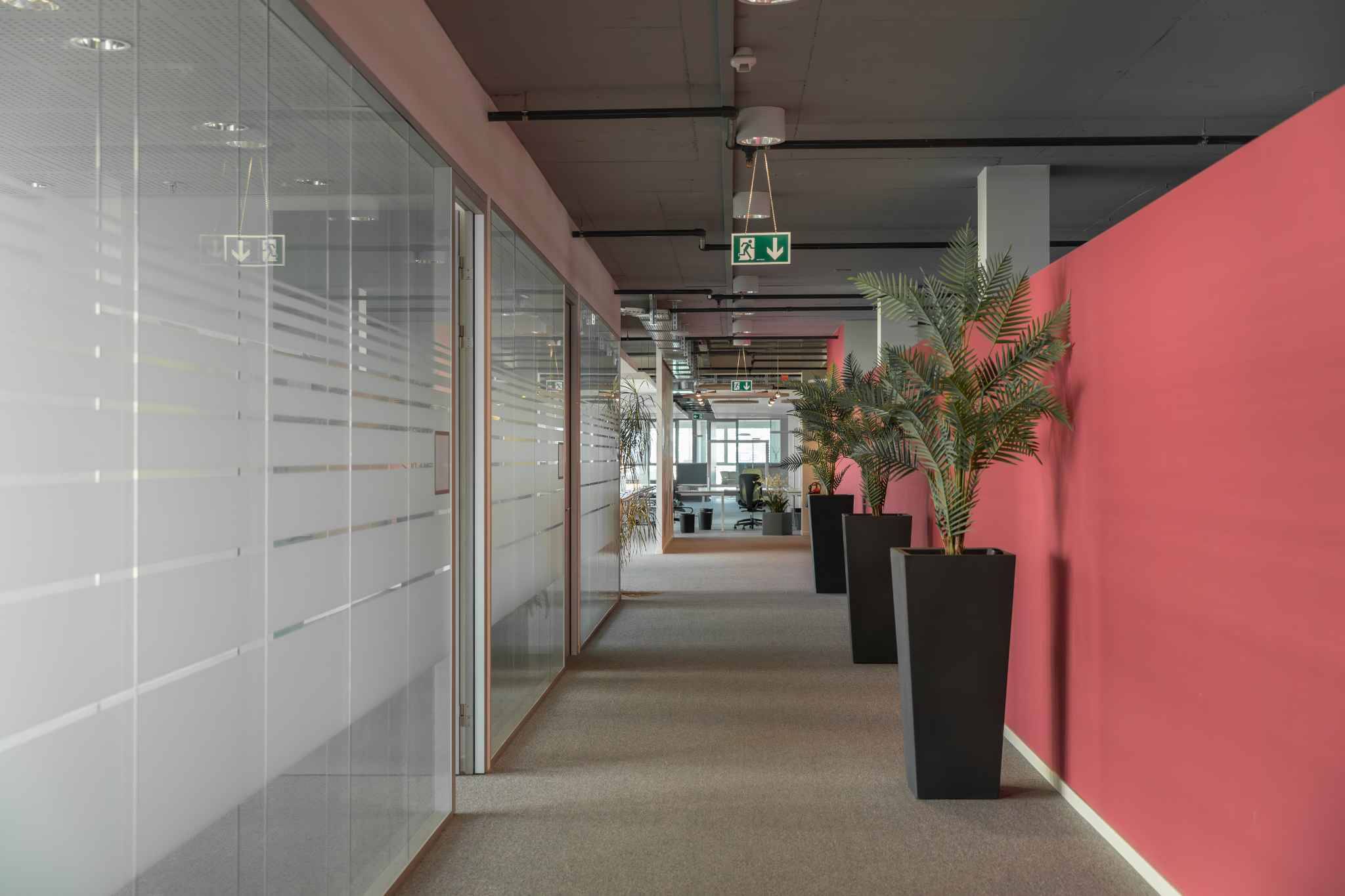 Magnifiques surfaces de bureaux