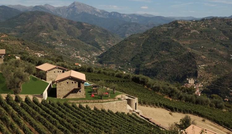 MAGNIFIQUE VIGNOBLE PROCHE DE MONACO