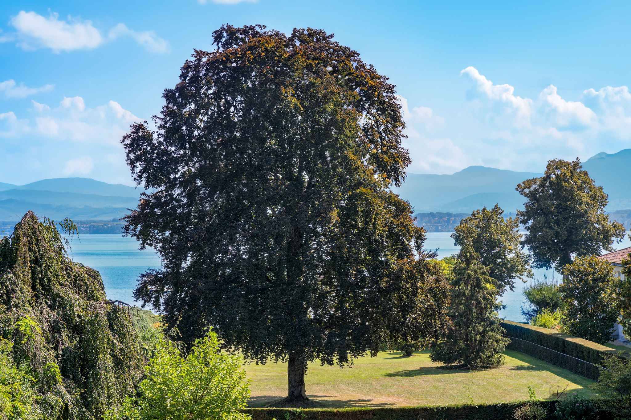 Propriété d'exception à deux pas du lac Léman