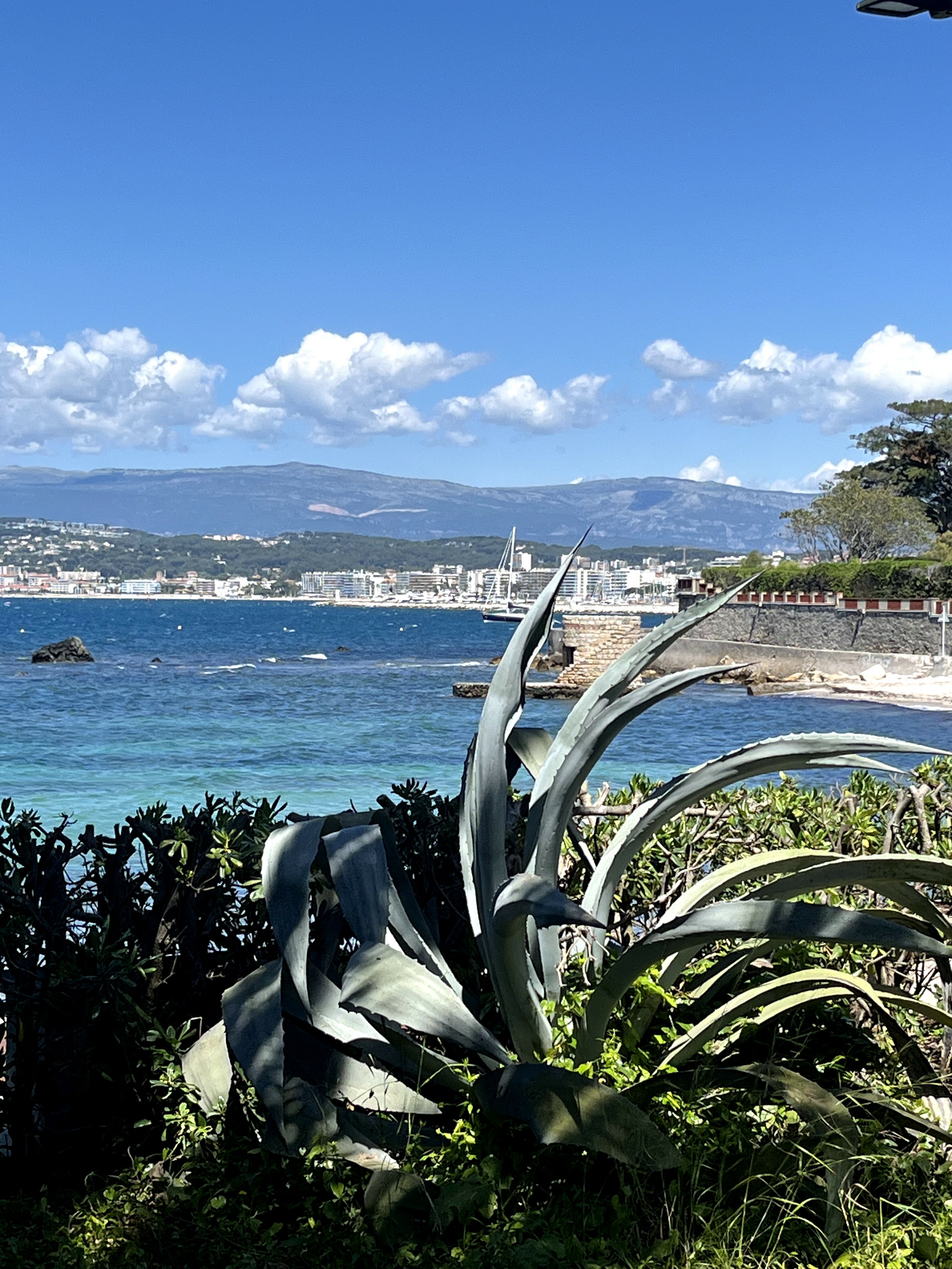 CAP D'ANTIBES - PREMIERE LIGNE - BAISSE DE PRIX - VILLA DANS DOMAINE SECURISÉ DU CAP