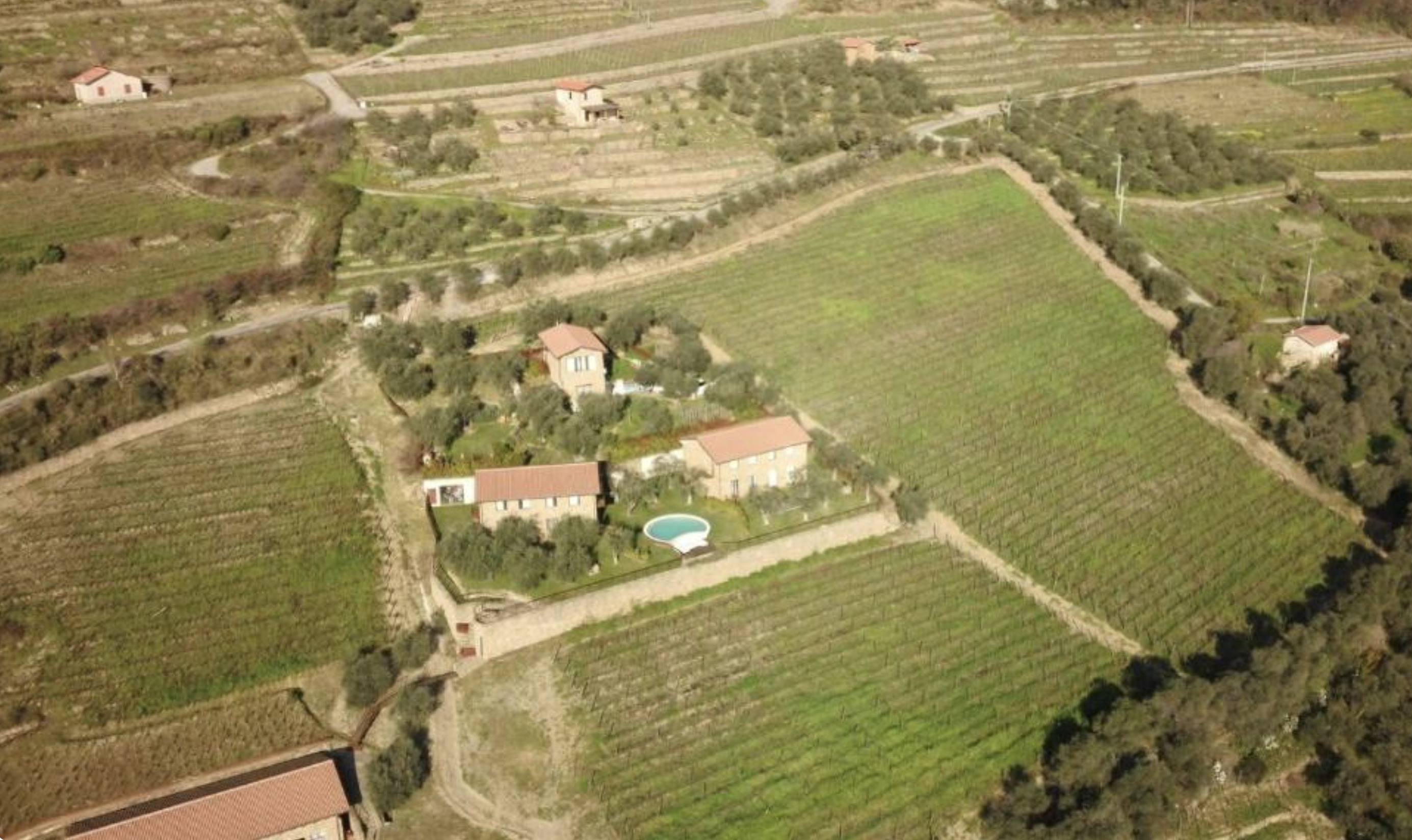 MAGNIFIQUE VIGNOBLE PROCHE DE MONACO