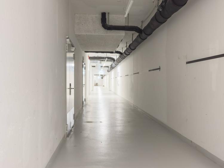 Superbes surfaces d'ateliers dès 150m2 à louer à Plan-les-Ouates