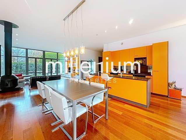 Loft meublé avec jardin et terrasse sur le toit