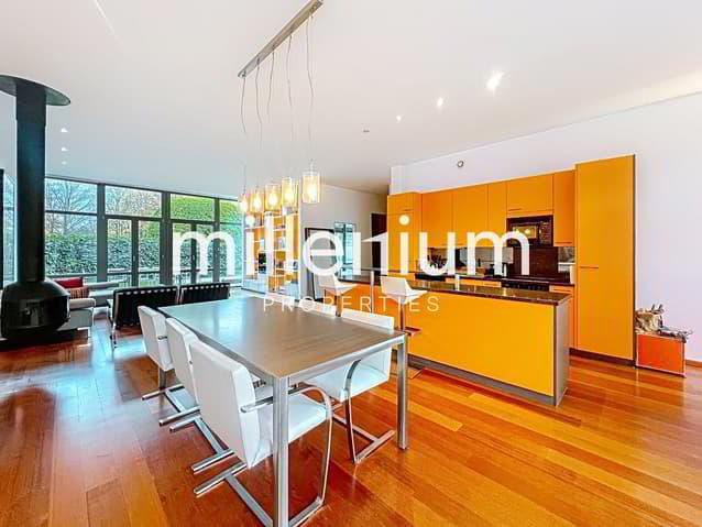 Loft meublé avec jardin et terrasse sur le toit