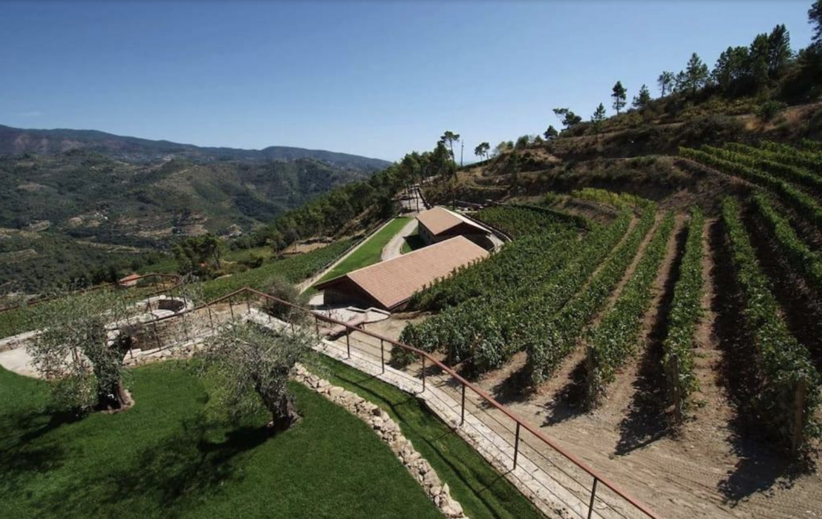 MAGNIFIQUE VIGNOBLE PROCHE DE MONACO