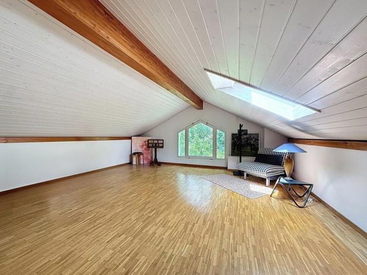 Lumineux et charmant appartement avec mezzanine