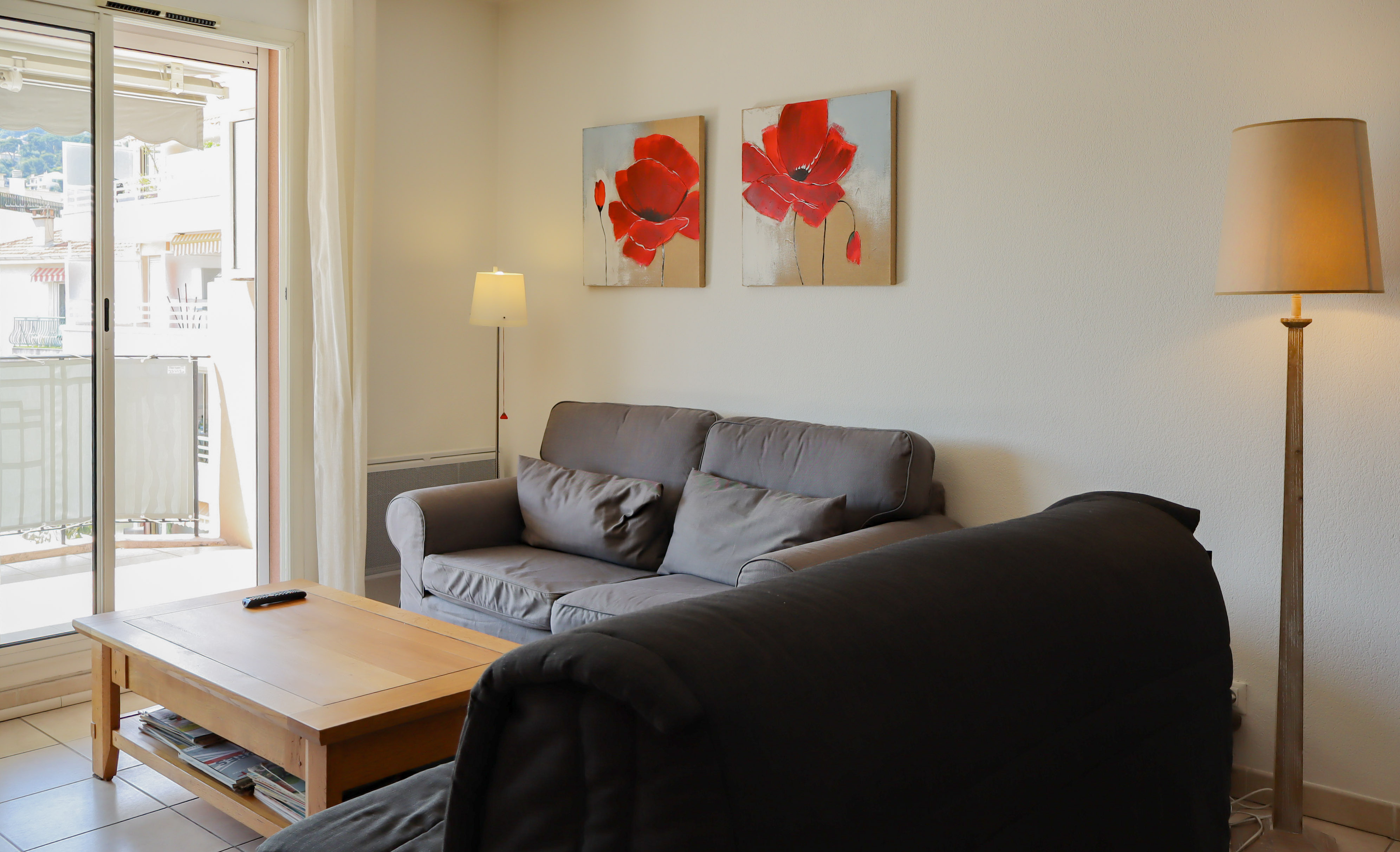 RCM - APPARTEMENT LUMINEUX TRAVERSANT - VIAGER - 3 PIÈCES - FRANCE