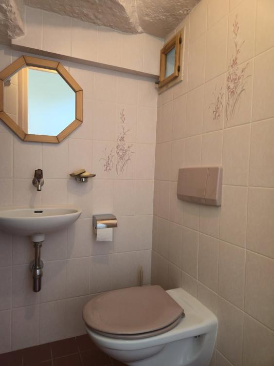 House for rent, Bourdigny (Satigny, Switzerland)