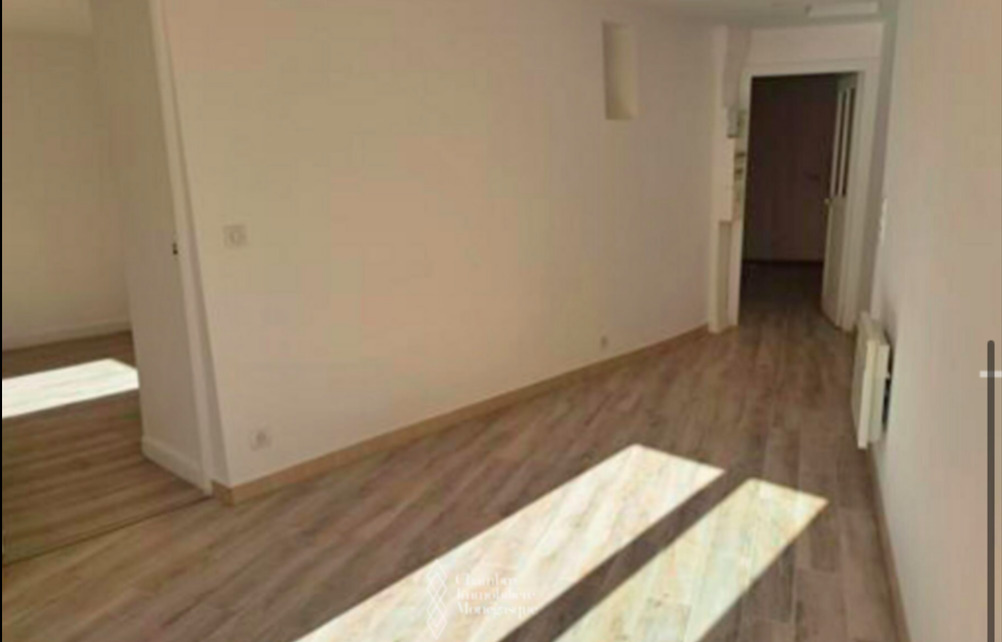 MONTE CARLO - VILLA HOLLANDIA - APPARTEMENT ATYPIQUE