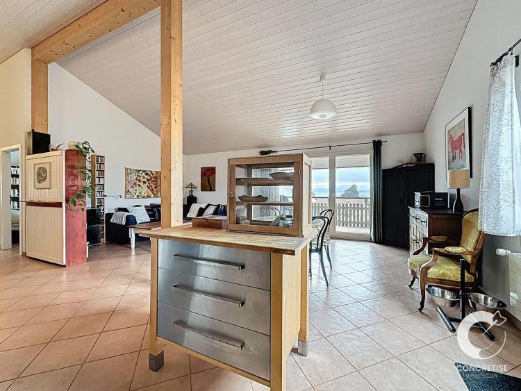 Panorama sur le Léman : Appartement avec balcon et vue lac à Mont-sur-Rolle