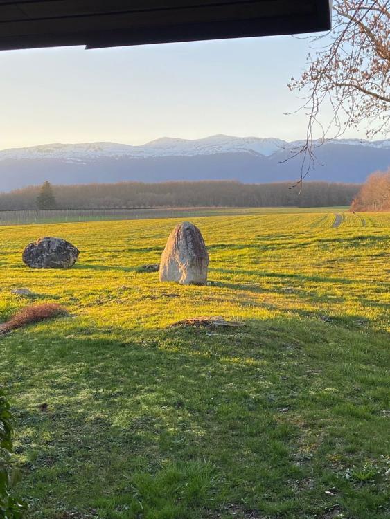 Villa de plain-pied avec vue dégagée sur la commune de Collex-Bossy.