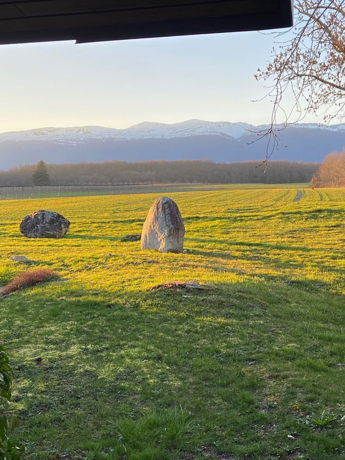 Villa de plain-pied avec vue dégagée sur la commune de Collex-Bossy.