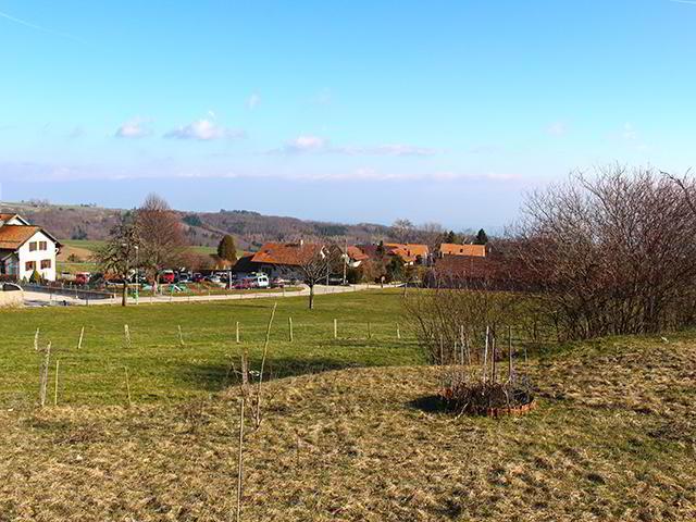 House for sale, 1269 (Nyon (district), Switzerland)