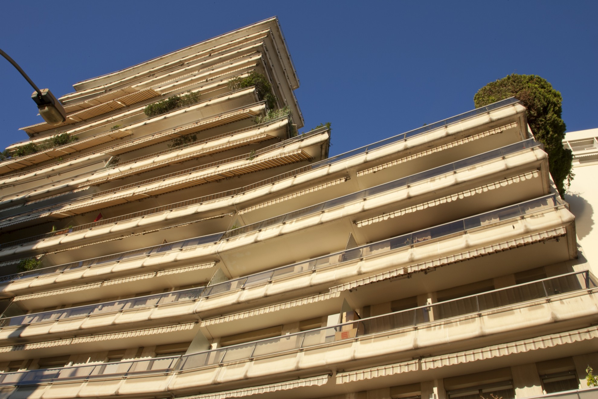 JARDIN EXOTIQUE - BEL HORIZON - STUDIO 