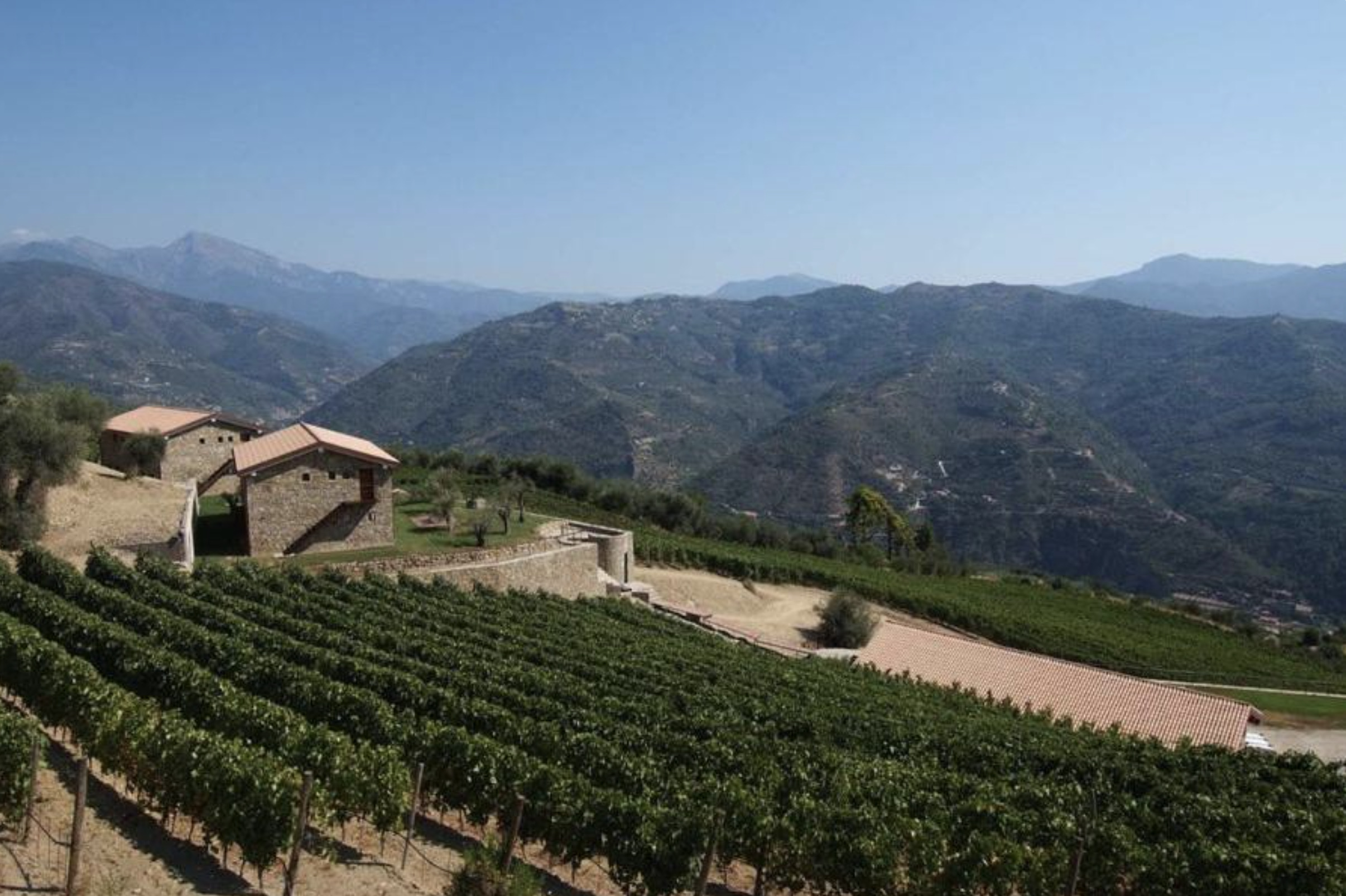 MAGNIFIQUE VIGNOBLE PROCHE DE MONACO