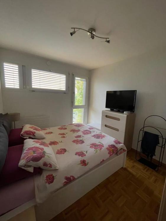 Apartment for rent in Meyrin, Switzerland