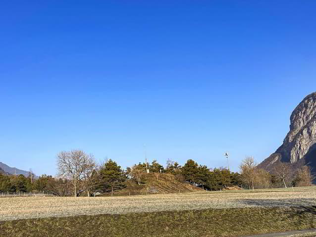 yjD8N_lookmove_234003194_1.jpg