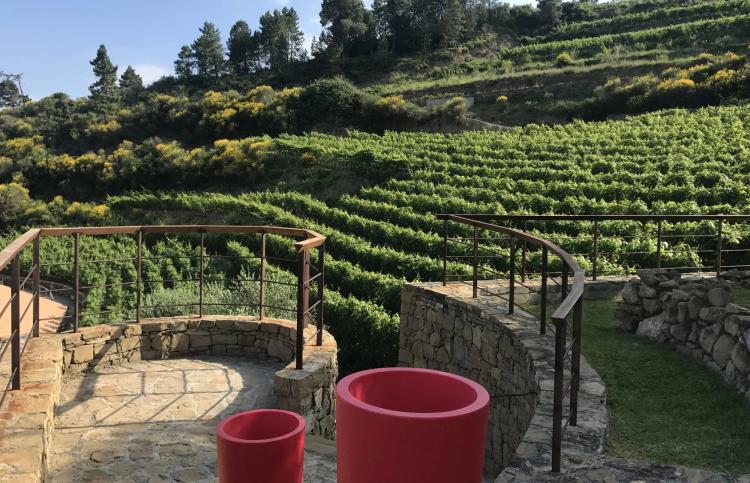 MAGNIFIQUE VIGNOBLE PROCHE DE MONACO