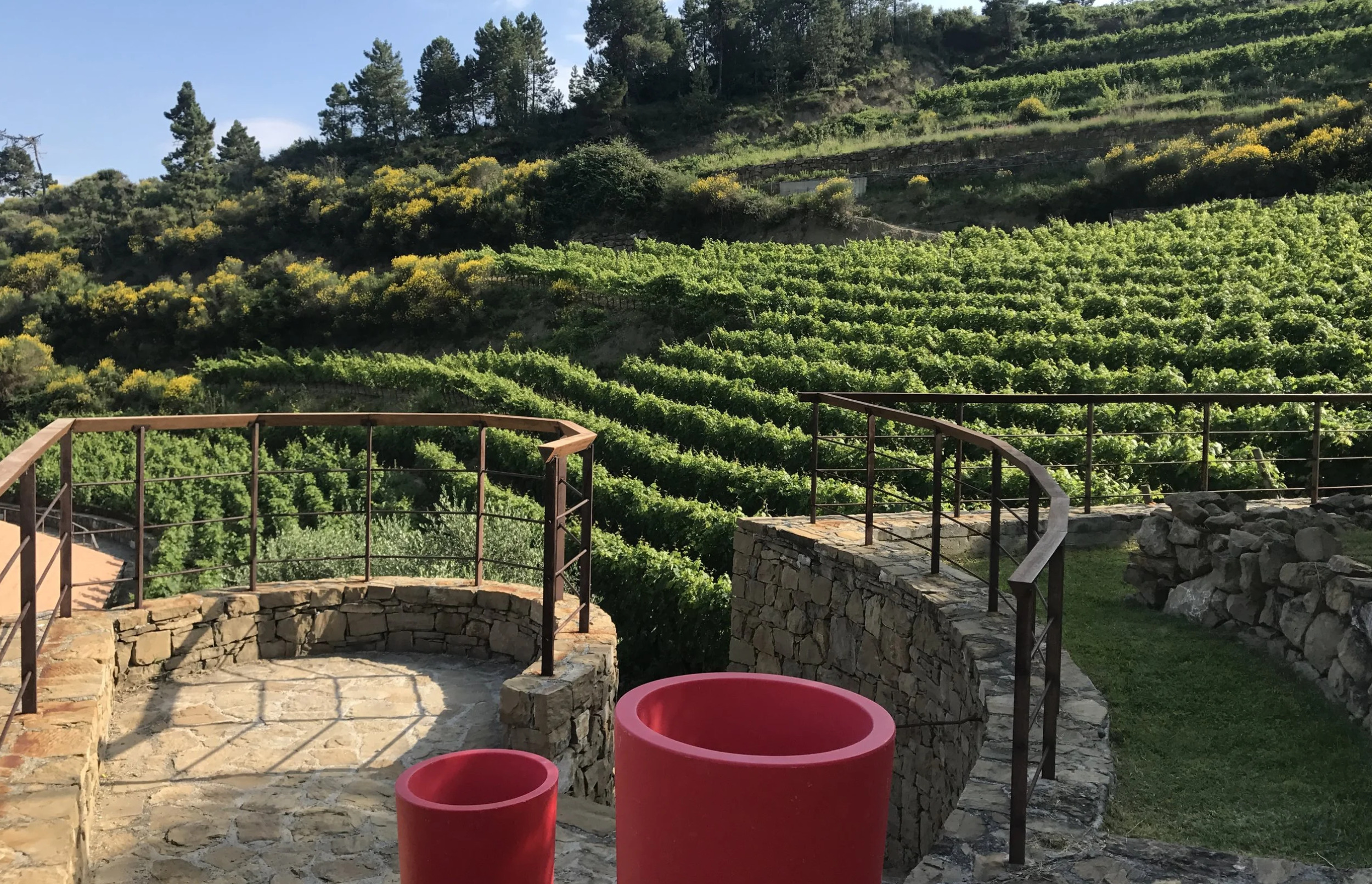 MAGNIFIQUE VIGNOBLE PROCHE DE MONACO
